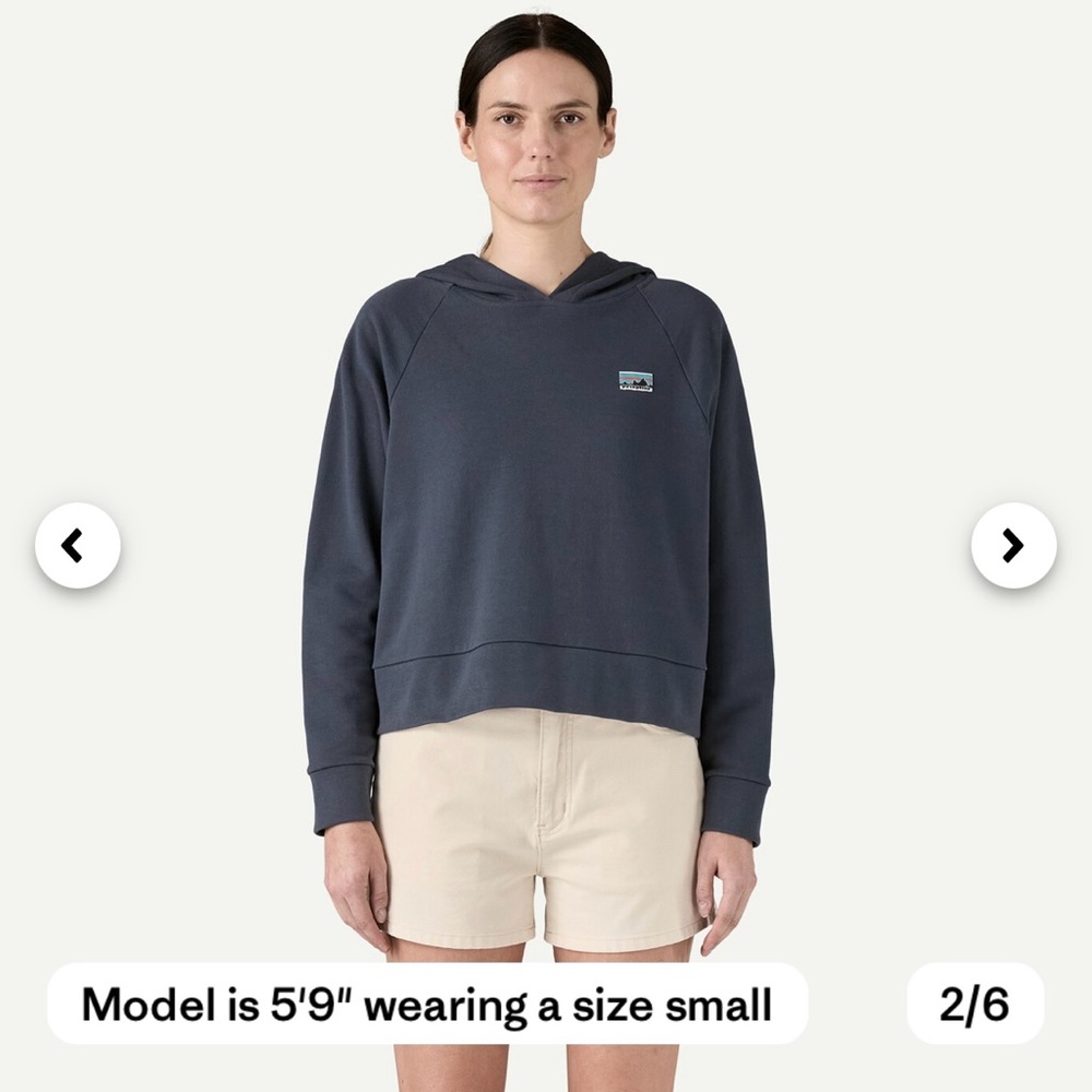 Patagonia Regenerative Organic Certified® Cotton Essential Hoody in Smolder Blue